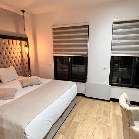 Paris Luxury - Cdg Aeroport 4*